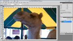 Photoshop Tutorial - Eye Dropper Color Sampler, Ruler, Notes, and Counting Tools