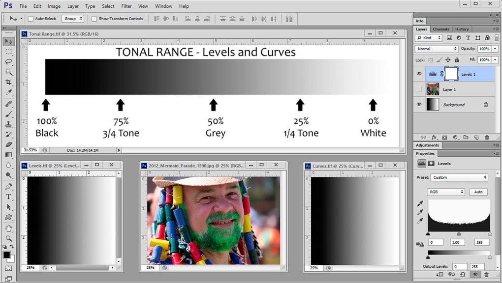 Tonal Range, Levels and Curves | Digital Fundamental Tutorial