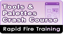 PREMIUM CLASS - Tools & Palettes Crash Course